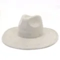 Close-up detail of grey suede fedora hat, wide brim classic gentleman style accessorizing. - M (56-58cm) / Gray