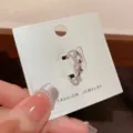 Silver zircon open ring on display card, fashionable unique minimalist design jewelry piece. - #1 Silver Horseshoe Buckle Zirconia Open Ring (Thick Real Gold Plated)