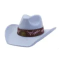 Close-up of light blue suede cowboy hat, brown leather band with pink embroidery and studs. - 58cm / Sky Blue