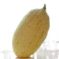 Melone Cantalupo