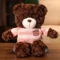 Cute small sweater brown teddy bear plush toy soft doll for kids hugging and sleeping - Dark Brown Bear - Pink Clothes / 40CM