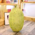 Simulation cantaloupe plush pillow cute fruit stuffed cushion home office decorative decor - Cantaloupe