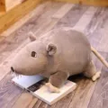 Simpatico peluche topo grigio morbido bambola ratto giocattolo regalo mascotte per bambini - 20cm / Grigio