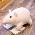 Simpatico giocattolo di peluche di topo bianco bambola morbida ratto cartone animato regalo. - 20cm / Bianco