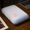 Ice bean student nap pillow office summer cool cute paw embroidery breathable soft pillow - Blue Cat Claw