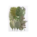 Natürliche gepresste Blätter Blumen Material Set für DIY Kunstharz Handyhülle Lesezeichen. - 1 Blatt/15 Stücke / Stil 03