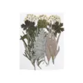Natürliche getrocknete gepresste Blumen Blätter Set für DIY Harz Handyhülle Lesezeichen - 1 Blatt/15 Stücke / Stil 09