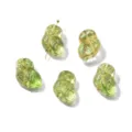Variante de perles de chouette irisées transparentes dorées style vintage DIY fait main. - Vert