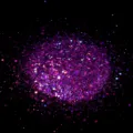 Closeup macro shot of purple hexagonal nail glitter flakes showing shimmering sparkle texture. - Laser Purple Hexagonal Iridescent Sequins