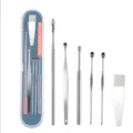 Stainless steel ear pick set 6 pieces portable metal ear cleaning tool with storage case - 6-Piece Set / Metallic