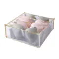 Mesh bra and underwear organizer storage box for drawer closet wardrobe organization. - 6 Grids / Beige