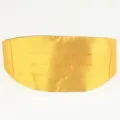 Detailaufnahme eines leuchtend gelben, plissierten Kinder-Kummerbunds für Partys. - 60-80cm / YF-ET02 Goldgelb