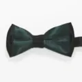 Detalle de pajarita de saten de doble capa, color de contraste verde y negro, elegante. - Verde Oscuro