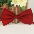Nœud papillon rouge en polyester uni pour adultes enfants animaux universel classique. - 13 Rouge Vin