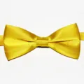 Dettaglio farfallino doppio in raso giallo, tessuto liscio e design classico per bambini. - 06 Giallo