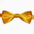 Vista dettagliata del papillon dorato lucido per bambini, ideale per feste ed eventi. - 07 giallo dorato