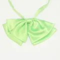 Dettaglio di cravatta a farfalla in raso verde chiaro per uniformi JK, tessuto liscio. - LH-DC09 Verde chiaro