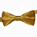 Vista dettagliata del farfallino in raso dorato, tessuto liscio, elegante accessorio. - 09 Giallo Terra
