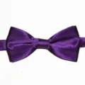 Primo piano dettagliato di un elegante cravattino papillon in tessuto doppio viola. - 15 viola scuro