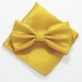 Gedetailleerd overzicht van gele gestructureerde vlinderdas en pochetset, elegante accessoire. - XGTZ19 goudgeel