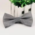 Elegante silberne Fliege fuer Herren, glitzernder Polyester Schlips Hochzeit Smoking. - Grau