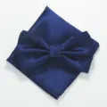 Detailopname van de elegante donkerblauwe gestructureerde vlinderdas en bijpassend pochet. - XGTZ22 koningsblauw