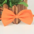 Oranger Polyester Fliege für Damen Herren Kinder Alltag und Party Performance Top. - Orangerot