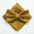 Gouden geruite vlinderdas en pochet set voor heren zaken en huwelijk formele gelegenheid. - XGTZ24 luxe goud