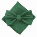 Groene gestructureerde vlinderdas en pochettenset, elegante accessoires voor bruiloft en zakelijk. - XGTZ25 smaragdgroen