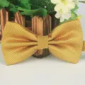 Goldener Jacquard Fliege, elegante Herren Business Mode Accessoire, feines Gitter Polyester Fliege. - 24 Luxusgold