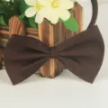 Nœud papillon uni marron en polyester pour hommes, femmes, enfants, animaux, classique. - Marron