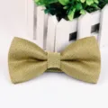 Herren silber Seide Hochzeit Fliege einfarbig Jacquard formelle Krawatte fuer Abendfeier. - Gold