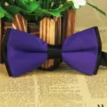 Lila doppelschichtige matte einfarbige Fliege für Herren, stilvoller Polyester Halsschmuck - Metallic Lila Schwarz