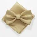 Detailopname van de gouden gestructureerde vlinderdas en pochet set, fijn rasterpatroon. - XGTZ29 champagne