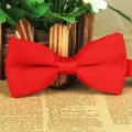 Rote matte einfarbige Fliege für Herren, doppelte Schicht Polyester Stoff für Hochzeit Party. - Rot