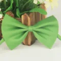 Nœud papillon en polyester uni vert pour hommes femmes enfants accessoire de mode élégant - 8 Vert clair