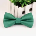 Farfallina verde da uomo glitterata, cravatta a farfalla unita in poliestere per matrimonio. - Verde
