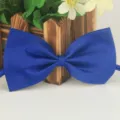 Noeud papillon bleu roi uni en polyester style classique accessoire pour hommes femmes SKU - Bleu Roi