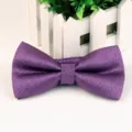 Farfallina in jacquard di poliestere viola per uomini adulti, ideale per abiti da sera. - Viola