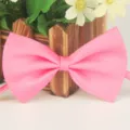 Noeud papillon en polyester rose uni classique pour adultes et enfants fete spectacle de base - 12 Rose foncé