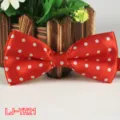 Papillon rosso a pois da uomo, elegante cravatta da matrimonio in tessuto poliestere. - N. 21