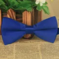 Klassische blaue einfarbige Polyester Fliege fuer Herren, eleganter Braeutigam Stil. - Saphirblau
