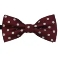 Burgundy polka dot bow tie for kids and wedding performance, classic stylish design. - Style 21