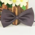 Noeud papillon en polyester uni pour hommes et femmes, design classique pour evenements. - 14 Gris