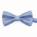 Blauer Kinder Jacquard Fliege feines Gitter Polyester Stoff Party Krawatte Detailansicht - Himmelblau