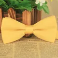 Klassische gelbe einfarbige Fliege für Herren, Bräutigam und formelle Geschäftshochzeiten. - Gold Gelb