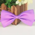 Noeud papillon en polyester violet uni pour adultes, enfants et animaux. Parfait pour spectacles. - 19 Violet clair