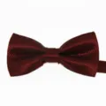 Primo piano dettagliato di un papillon bordeaux a quadri, trama elegante e fine. - Borgogna