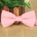 Einfarbige rosa matte Fliege für Herren, elegante Polyester Hochzeit Fliege Stil. - Rosa
