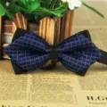 Mens pointed business casual bow tie, stylish purple grid silk wedding bowtie for men. - LJ-JJ14